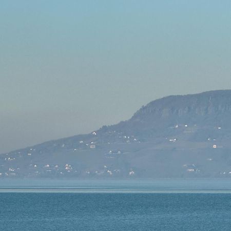Balaton A Kertben - Balaton In The Garden - Beachfront Houses With Beautiful View, Private Beach Balatonfenyves Exterior photo